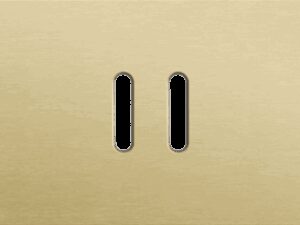 Niko Rocker 3-Voudige afdekplaat horizontaal 71 mm centerafstand voor drie tweevoudige schakelfuncties alu gold brushed RAL: 1000