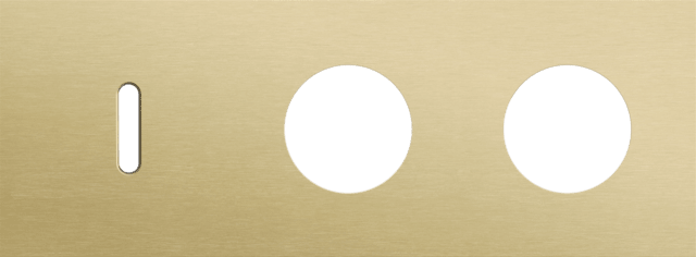 Niko Rocker 3-Voudige afdekplaat horizontaal 71 mm centerafstand voor een enkelvoudige schakelfunctie en twee stopcontacten alu gold brushed RAL: 1000