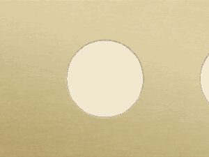 Niko Rocker 3-Voudige afdekplaat horizontaal 71 mm centerafstand voor een tweevoudige schakelfunctie en twee stopcontacten alu gold brushed RAL: 1000