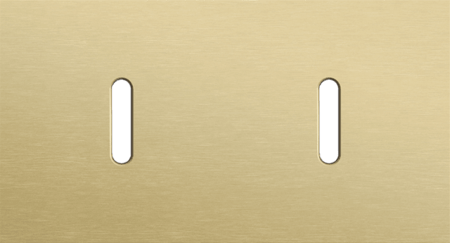 Niko Rocker 2-Voudige afdekplaat horizontaal 71 mm centerafstand voor twee enkelvoudige schakelfuncties alu gold brushed RAL: 1000