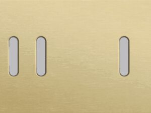 Niko Rocker 2-Voudige afdekplaat horizontaal 71 mm centerafstand voor een tweevoudige en een enkelvoudige schakelfunctie alu gold brushed RAL: 1000