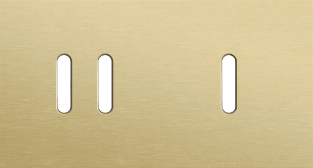 Niko Rocker 2-Voudige afdekplaat horizontaal 71 mm centerafstand voor een tweevoudige en een enkelvoudige schakelfunctie alu gold brushed RAL: 1000
