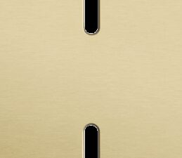 Niko Rocker 2-Voudige afdekplaat verticaal 71 mm centerafstand voor twee enkelvoudige schakelfuncties alu gold brushed RAL: 1000