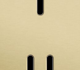Niko Rocker 2-Voudige afdekplaat verticaal 71 mm centerafstand voor een enkelvoudige en een tweevoudige schakelfunctie alu gold brushed RAL: 1000