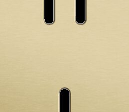 Niko Rocker 2-Voudige afdekplaat verticaal 71 mm centerafstand voor een tweevoudige en een enkelvoudige schakelfunctie alu gold brushed RAL: 1000