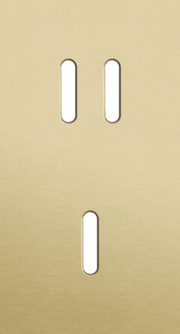 Niko Rocker 2-Voudige afdekplaat verticaal 71 mm centerafstand voor een tweevoudige en een enkelvoudige schakelfunctie alu gold brushed RAL: 1000