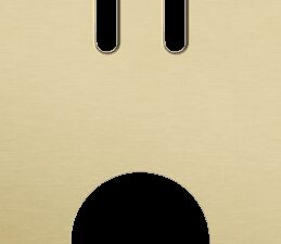 Niko Rocker 2-Voudige afdekplaat verticaal 71 mm centerafstand voor tweevoudige schakelfuncties + 1 stopcontact alu gold brushed RAL: 1000