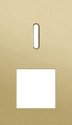 Niko Rocker 2-Voudige afdekplaat verticaal 60 mm centerafstand voor een enkelvoudige schakelfunctie en een functie alu gold brushed RAL: 1000
