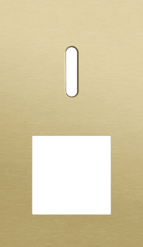 Niko Rocker 2-Voudige afdekplaat verticaal 60 mm centerafstand voor een enkelvoudige schakelfunctie en een functie alu gold brushed RAL: 1000