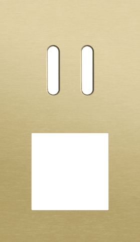 Niko Rocker 2-Voudige afdekplaat verticaal 60 mm centerafstand voor een tweevoudige schakelfunctie en een functie alu gold brushed RAL: 1000