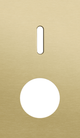 Niko Rocker 2-Voudige afdekplaat verticaal 60 mm centerafstand voor een enkelvoudige schakelfunctie en een stopcontact alu gold brushed RAL: 1000