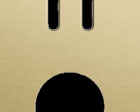 Niko Rocker 2-Voudige afdekplaat verticaal 60 mm centerafstand voor een tweevoudige schakelfunctie en een stopcontact alu gold brushed RAL: 1000