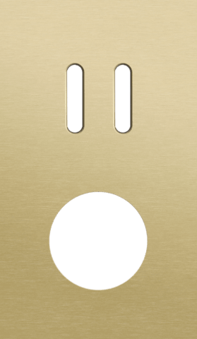 Niko Rocker 2-Voudige afdekplaat verticaal 60 mm centerafstand voor een tweevoudige schakelfunctie en een stopcontact alu gold brushed RAL: 1000