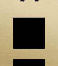 Niko Rocker 3-Voudige afdekplaat verticaal 60 mm centerafstand voor een tweevoudige schakelfunctie en twee functies alu gold brushed RAL: 1000