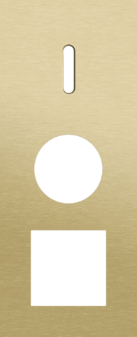 Niko Rocker 3-Voudige afdekplaat verticaal 60 mm centerafstand voor een enkelvoudige schakelfunctie en een een stopcontact en een functie alu gold brushed RAL: 1000