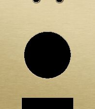 Niko Rocker 3-Voudige afdekplaat verticaal 60 mm centerafstand voor een enkelvoudige schakelfunctie en een een stopcontact en een functie alu gold brushed RAL: 1000