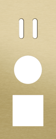 Niko Rocker 3-Voudige afdekplaat verticaal 60 mm centerafstand voor een enkelvoudige schakelfunctie en een een stopcontact en een functie alu gold brushed RAL: 1000