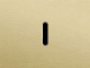 Niko Rocker 3-Voudige afdekplaat horizontaal 71 mm centerafstand voor drie enkelvoudige schakelfuncties alu gold brushed RAL: 1000