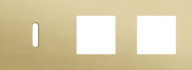 Niko Rocker 3-Voudige afdekplaat horizontaal 71 mm centerafstand voor een enkelvoudige schakelfunctie en twee functies alu gold brushed RAL: 1000