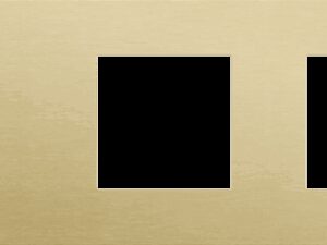 Niko Rocker 3-Voudige afdekplaat horizontaal 71 mm centerafstand voor een tweevoudige schakelfunctie en twee functies alu gold brushed RAL: 1000