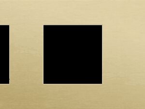Niko Rocker 3-Voudige afdekplaat horizontaal 71 mm centerafstand voor twee functies en een tweevoudige schakelfunctie alu gold brushed RAL: 1000