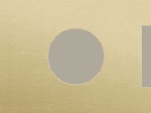 Niko Rocker 3-Voudige afdekplaat horizontaal 71 mm centerafstand voor een enkelvoudige schakelfunctie en een een stopcontact en een functie alu gold brushed RAL: 1000