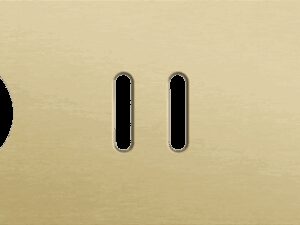 Niko Rocker 3-Voudige afdekplaat horizontaal 71 mm centerafstand voor een stopcontact een tweevoudige en een enkelvoudige schakelfunctie alu gold brushed RAL: 1000