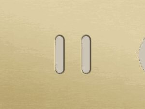 Niko Rocker 3-Voudige afdekplaat horizontaal 71 mm centerafstand voor een enkelvoudige en een tweevoudige schakelfunctie en stopcontact alu gold brushed RAL: 1000