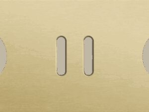 Niko Rocker 3-Voudige afdekplaat horizontaal 71 mm centerafstand voor een stopcontact een tweevoudige schakelfunctie en een stopcontact alu gold brushed RAL: 1000
