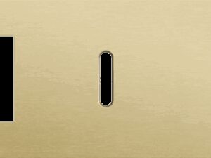 Niko Rocker 3-Voudige afdekplaat horizontaal 71 mm centerafstand voor een functie een enkelvoudige en een tweevoudige schakelfunctie alu gold brushed RAL: 1000
