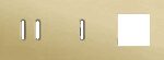 Niko Rocker 3-Voudige afdekplaat horizontaal 71 mm centerafstand voor een tweevoudige en een enkelvoudige schakelfunctie en een functie alu gold brushed RAL: 1000