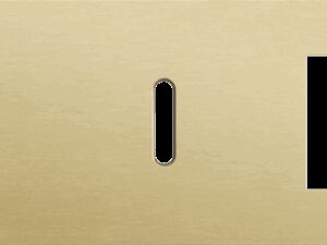 Niko Rocker 3-Voudige afdekplaat horizontaal 71 mm centerafstand voor een tweevoudige en een enkelvoudige schakelfunctie en een functie alu gold brushed RAL: 1000