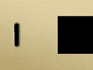 Niko Rocker 2-Voudige afdekplaat horizontaal 71 mm centerafstand voor een enkelvoudige schakelfunctie en een functie alu gold brushed RAL: 1000