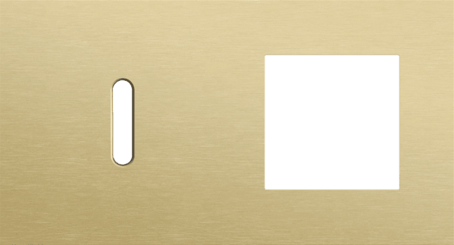 Niko Rocker 2-Voudige afdekplaat horizontaal 71 mm centerafstand voor een enkelvoudige schakelfunctie en een functie alu gold brushed RAL: 1000