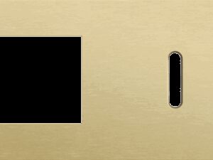 Niko Rocker 2-Voudige afdekplaathorizontaal 71 mm centerafstand voor een functie en een enkelvoudige schakelfunctiek alu gold brushed RAL: 1000