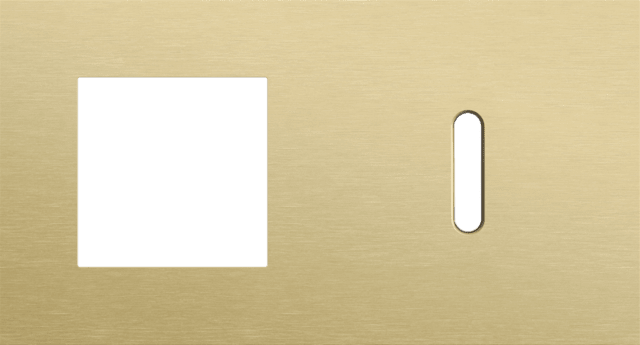 Niko Rocker 2-Voudige afdekplaathorizontaal 71 mm centerafstand voor een functie en een enkelvoudige schakelfunctiek alu gold brushed RAL: 1000