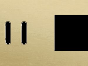 Niko Rocker 2-Voudige afdekplaat horizontaal 71 mm centerafstand voor een tweevoudige schakelfunctie en een functie alu gold brushed RAL: 1000