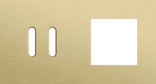 Niko Rocker 2-Voudige afdekplaat horizontaal 71 mm centerafstand voor een tweevoudige schakelfunctie en een functie alu gold brushed RAL: 1000