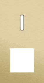 Niko Rocker 2-Voudige afdekplaat verticaal 71 mm centerafstand voor een enkelvoudige schakelfunctie en een functie alu gold brushed RAL: 1000