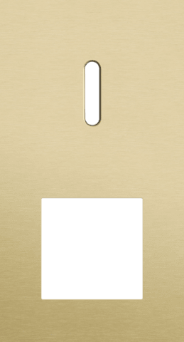 Niko Rocker 2-Voudige afdekplaat verticaal 71 mm centerafstand voor een enkelvoudige schakelfunctie en een functie alu gold brushed RAL: 1000