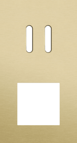 Niko Rocker 2-Voudige afdekplaat verticaal 71 mm centerafstand voor een tweevoudige schakelfunctie en een functie alu gold brushed RAL: 1000