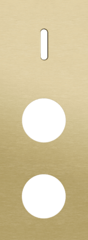 Niko Rocker 3-Voudige afdekplaat verticaal 71 mm centerafstand voor een enkelvoudige schakelfunctie en twee stopcontacten alu gold brushed RAL: 1000