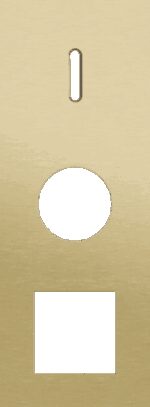Niko Rocker 3-Voudige afdekplaat verticaal 71 mm centerafstand voor een enkelvoudige schakelfunctie en een een stopcontact en een functie alu gold brushed RAL: 1000