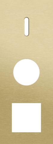Niko Rocker 3-Voudige afdekplaat verticaal 71 mm centerafstand voor een enkelvoudige schakelfunctie en een een stopcontact en een functie alu gold brushed RAL: 1000