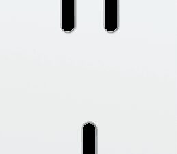 Niko Rocker Tweevoudige afdekplaat verticaal 71 mm centerafstand voor 1 tweev + 1 enklv schak steel white coated RAL: 000 90 00