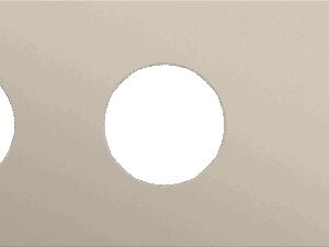 Niko Rocker 3-Voudige afdekplaat horizontaal 71 mm centerafstand voor twee stopcontacten en een tweevoudige schakelfunctie steel champagne coated RAL: 080 70 10