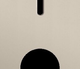 Niko Rocker 2-Voudige afdekplaat verticaal 71 mm centerafstand voor enkelvoudige schakelfuncties + 1 stopcontact steel champagne coated RAL: 080 70 10