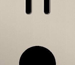 Niko Rocker 2-Voudige afdekplaat verticaal 71 mm centerafstand voor tweevoudige schakelfuncties + 1 stopcontact steel champagne coated RAL: 080 70 10
