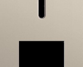 Niko Rocker 2-Voudige afdekplaat verticaal 60 mm centerafstand voor een enkelvoudige schakelfunctie en een functie steel champagne coated RAL: 080 70 10