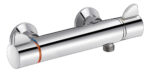 Delabie Securitherm thermostatische douchemengkraan met Ergo greep